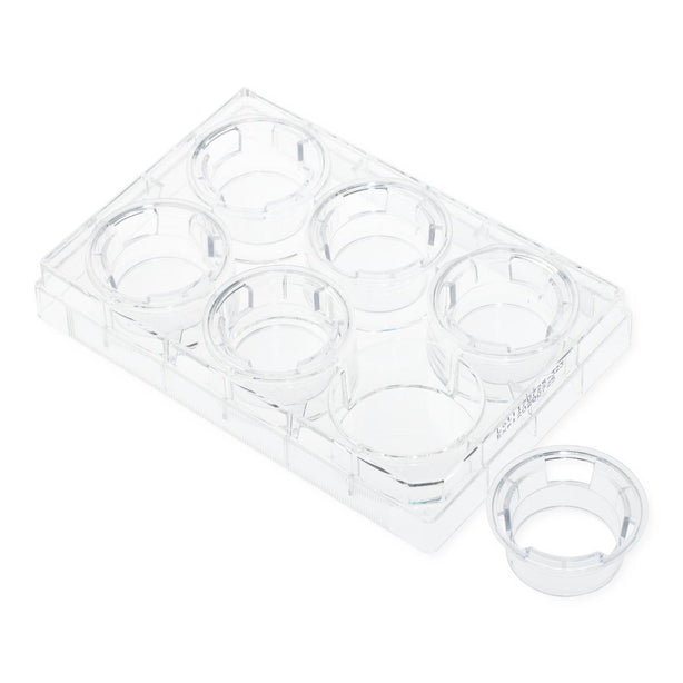 Celltreat Scientific Permeable Cell Culture Inserts, Packed in 6-Well Plate, Hanging, PC, 8.0um, Sterile - 230605 - 12 Each