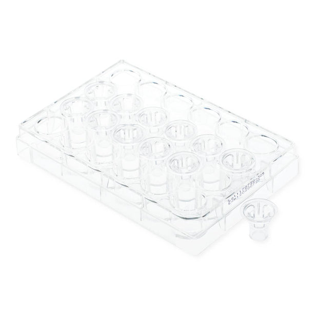 Celltreat Scientific Permeable Cell Culture Inserts, Packed in 24-Well Plate, Hanging, PC, 0.4um, Sterile - 230629 - 24 Each