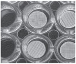 Strl Well Scaffolds 96WELL Plate with 24 3D PS Scaff, 300/400, ST - 296243040 - 1 Each