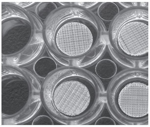 Strl Well Scaffolds 96WELL Plate with 24 3D PS Scaff, 300/400, ST - 296243040 - 1 Each