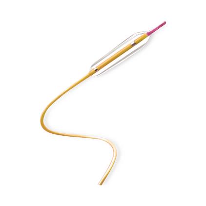 Medtronic Usa Medtronic Euphora Semicompliant Balloon Dilatation Catheters EUP3506X - 1.0 Each