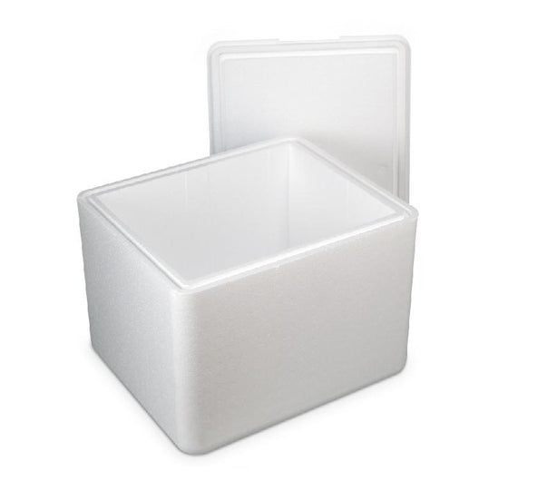 Cold Chain Technologies KoolTemp EPS Molded Shipping Containers - CZCKT1351CISU
