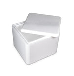 Cold Chain Technologies KoolTemp EPS Molded Shipping Containers - CZCTL864CISU