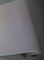 Danlee Medical Products Inc Bionet Chart Paper ECG-PP 2547252 - 25.0 Roll