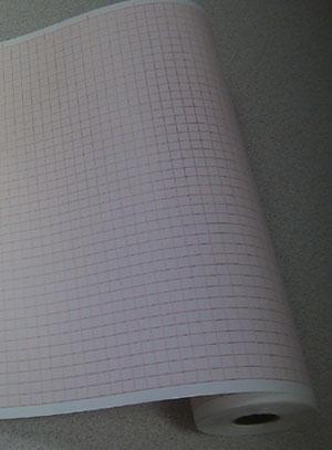 Danlee Medical Products Inc Bionet Chart Paper ECG-PP 2547252 - 25.0 Roll