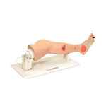American 3b Scientific Lp 3B Scientific Annie Arterial Insufficiency Legs W46522 1.0 Each