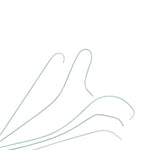Cook Inc Torcon NB Advantage Catheters - COKG20270