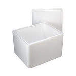Cold Chain Technologies KoolTemp EPS Molded Shipping Containers - CZC12109CISU