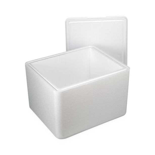 Cold Chain Technologies KoolTemp EPS Molded Shipping Containers - CZC12109CISU