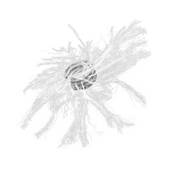 Cook Inc Cook MReye Embolization Coils G52984 - 1.0 Each