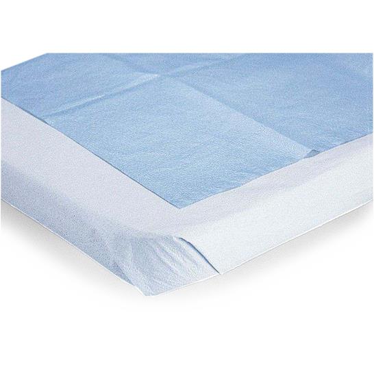 Lake Region 2-Ply Poly / Tissue Drape Sheet, Blue, 40" x 72" - 918372 - 50 Each