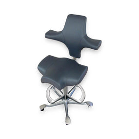Biodex Medical Systems Ergonomic Sonography Chair 058-704 - 1.0 Each