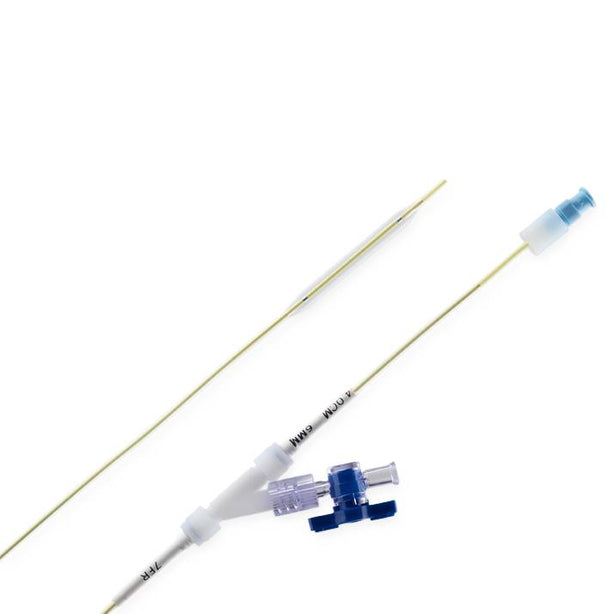 Cook Inc Cook Balloon Ureteral Dilator Set G14608 - 1.0 Each - MDL-COKG14608