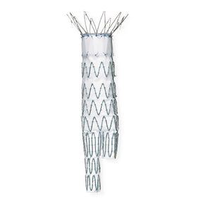Cook Inc Vascular Grafts: Zenith Flex AAA Endovascular Graft Bifurcated Main Body, Introducer Sheath 18 Fr, Main Body Length 82 mm, Main Body Dia. 22 mm G48402 - 1.0 Each