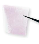 Integra Lifesciences Corp Amnioexcel Allograft Membrane - DER25110