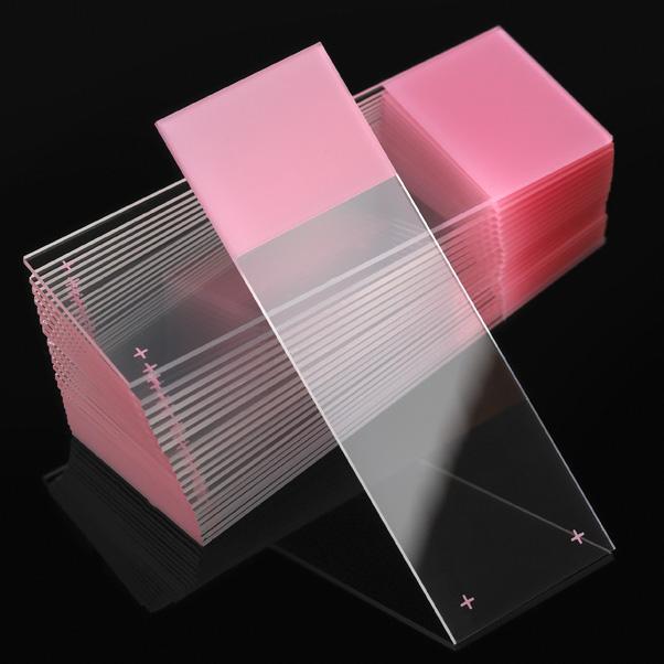 GLOBE SCIENTIFIC INC Positive Charge Frosted Microscope Slides 1358T 1440 Each-MDL-DLS1358T