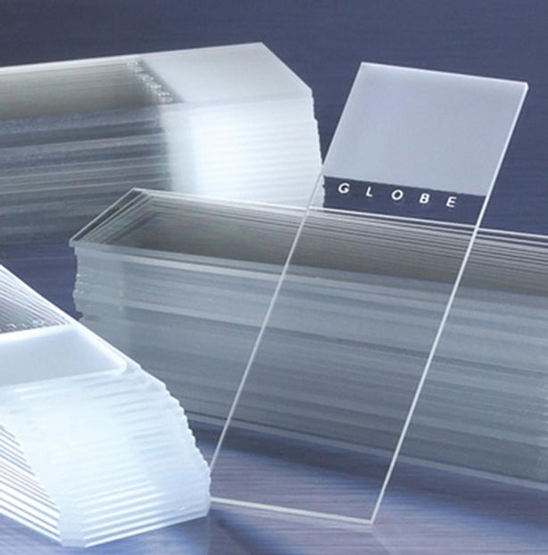 Globe Scientific White Glass Microscope Slide, Clipped Corners and Beveled Edges, 1 End, 2 Side, Frosted - 1384-30 - 1440 Each