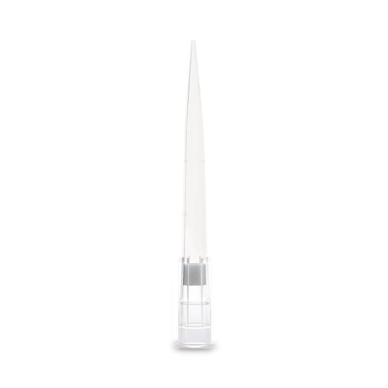 Globe Scientific Low-Retention Filter Pipette Tips - 150920 - 1920 Each - MDL-DLS150920