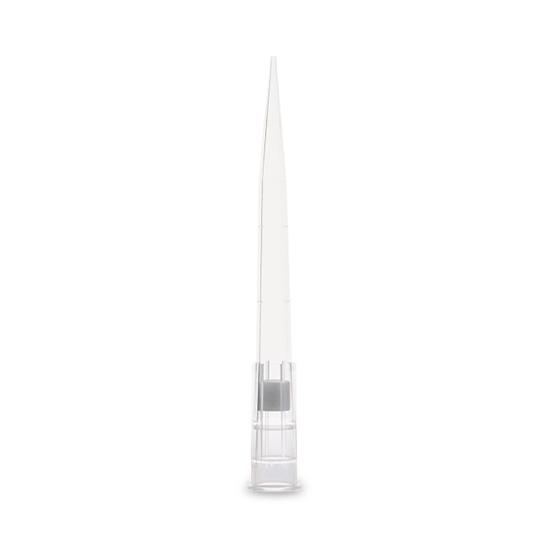 Globe Scientific Low-Retention Filter Pipette Tips - 150925 - 1920 Each - MDL-DLS150925