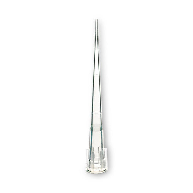 Globe Scientific Inc Globe Scientific General-Purpose Universal Pipette Tips - DLS151156R96