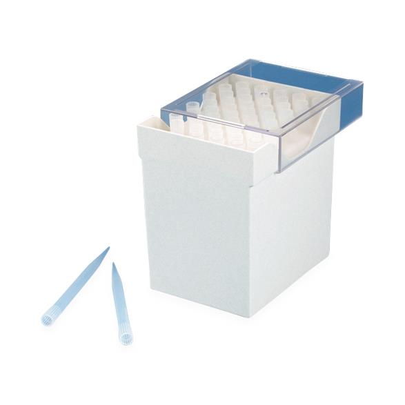 Globe Scientific Inc Globe Scientific Routine Pipette Tips 151246R - 200.0 Each