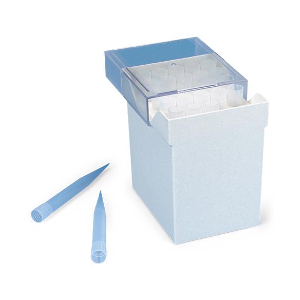 Globe Scientific Inc Globe Scientific Routine Pipette Tips 151250R - 100.0 Each