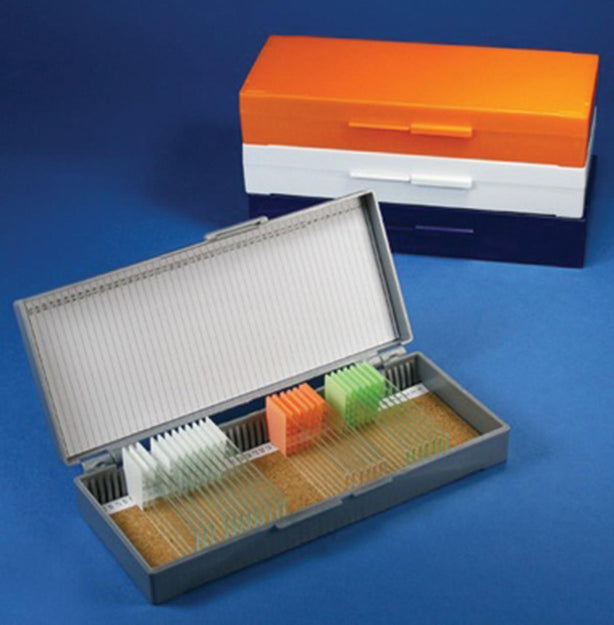 GLOBE SCIENTIFIC Storage Cork-Lined Microscope Slide Box for 50 Slides, Gray - 513077A - 1 Each