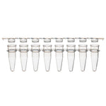 Globe Scientific Inc PCR Tube Strips with Separate Caps PCR-STR-02F - 125.0 Each
