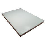 Datex-Ohmeda Foam Poly Mattress 0305-5060-300 - 1.0 Each - MDL-DTX3055060300