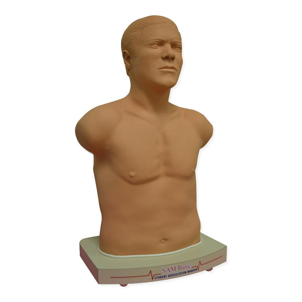 Cardionics SAM Basic Manikins CD718-8830 - 1.0 Each - MDL-ELU7188830