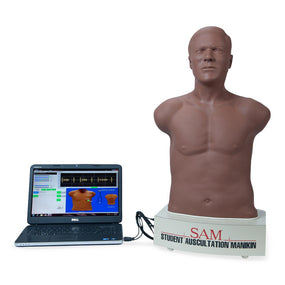 Cardionics SAM II Student AuscultationManikinbyCRDN 718-8900 - 1.0 Each
