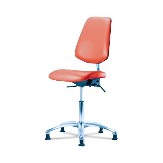 Eo2 Concepts Class 100 Desk-Height Cleanroom Chairs with Medium Back NCR-VDHCH-MB-CR-T1-A0-RG-8613 1.0 Each-MDL-EOCNCMBRG8613