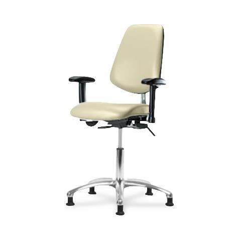 Eo2 Concepts Class 100 Desk-Height Cleanroom Chairs with Medium Back NCR-VDHCH-MB-CR-T0-A1-RG-8501 1.0 Each-MDL-EOCNVDHMRG851