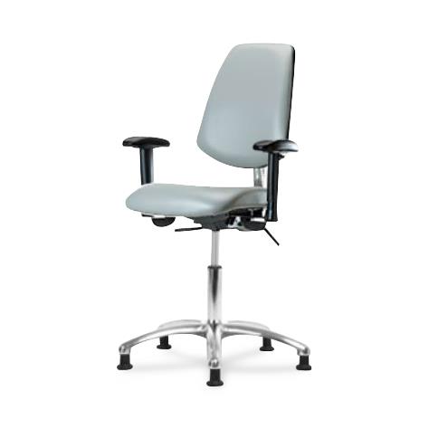 Eo2 Concepts Class 100 Desk-Height Cleanroom Chairs with Medium Back NCR-VDHCH-MB-CR-T0-A1-RG-8567 1.0 Each-MDL-EOCRVDBCG8567