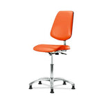 Eo2 Concepts Basic Desk-Height Cleanroom Chairs with Medium Back CLR-VDHCH-MB-CR-RG-8613 1.0 Each-MDL-EORVDHMBG8613