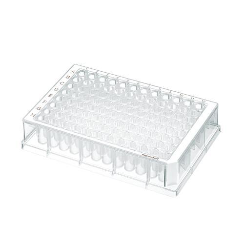 DNA LoBind Deepwell 96/500 - 951032000 - 40 Each - MDL-EPP1167