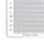 Eppendorf North America Deepwell Plates Protein LoBind 951031780 - 120.0 Each - MDL-EPP1278