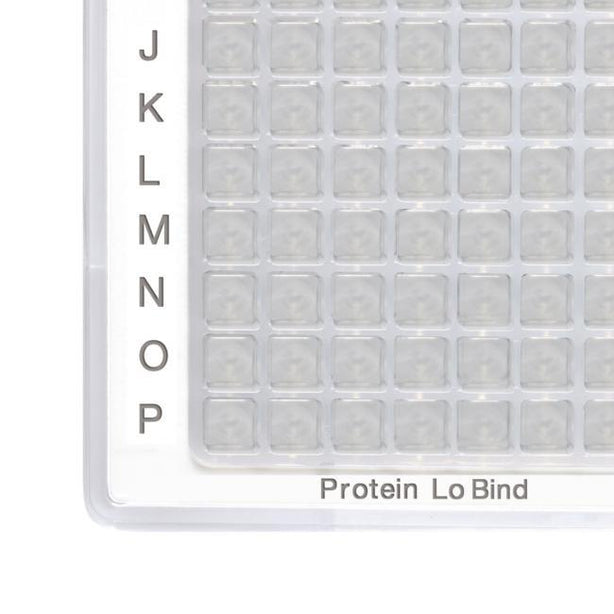 Eppendorf North America Deepwell Plates Protein LoBind 951031780 - 120.0 Each - MDL-EPP1278