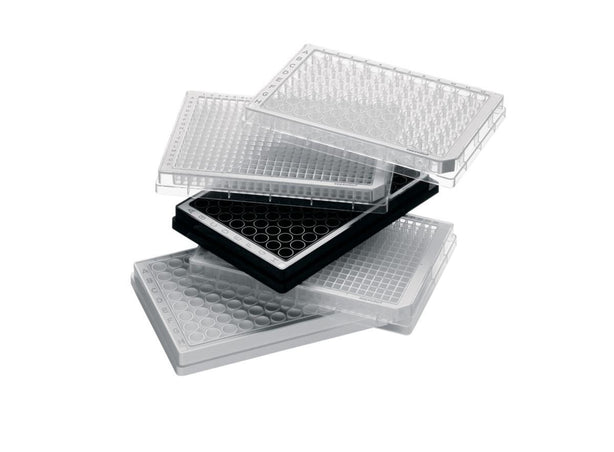 Eppendorf North America Microplate 96/U-PP Barcode 30609506 - 80.0 Each
