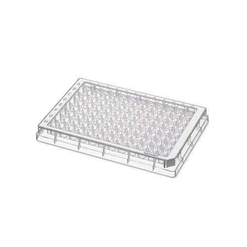 Eppendorf North America MTP U-Bottom 951040048 Mbo-Mtp 96/320, U, Pp, Pcrclean, PK/80 - MDL-EPP1294 - 80 Each