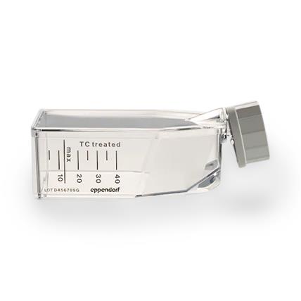 EPPENDORF NORTH AMERICA Cell Culture Flasks with Filter Cap 0030710118 192 Each - MDL-EPP30710118