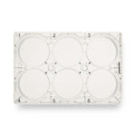 Eppendorf North America TC-Treated Cell Culture Plate, 6 Well, 5 mL, Packaged 10 Bags × 10 Plates - 0030720130 - 100 Each