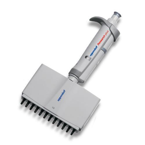 Eppendorf North America Eppendorf Research Plus Adjustable-Volume 3122000027 - 1.0 Each - MDL-EPP62