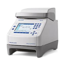 Eppendorf North America Mastercycler Nexus PCR Cycler - EPP6331025CTM