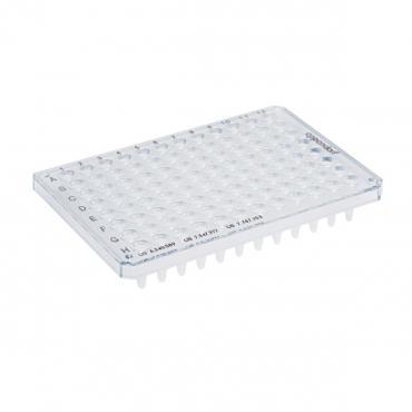 Eppendorf North America TwinTec Microbiology PCR 96 Skirted Plate 0030129377 - 10.0 Each