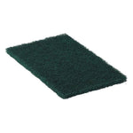 Medline Scouring Pads - EVSHPAD22GCS - 10 Each - MDL-EVSHPAD22GCSZ