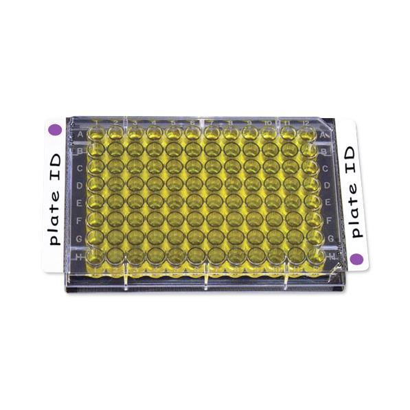 SealPlate ColorTab Sealing Films - SP-IDA-10 - 50 Each - MDL-EXISPIDA10