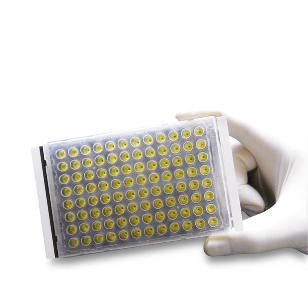 Excel Scientific ThermalSeal 2 Sealing Film for Microplates, Nonsterile - TS2-100 - 100 Each