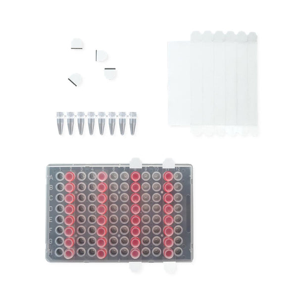 EZcap 1 x 8 PCR FilmStrips Sealing Film - US-CS1X8-400 - 400 Each - MDL-EXIUSCS1X8400