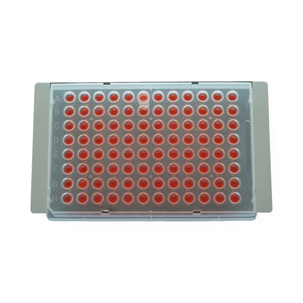 eXTReme Seal Sealing Film for PCR Plates - XTR-LG-100 - 100 Each - MDL-EXIXTRLG100
